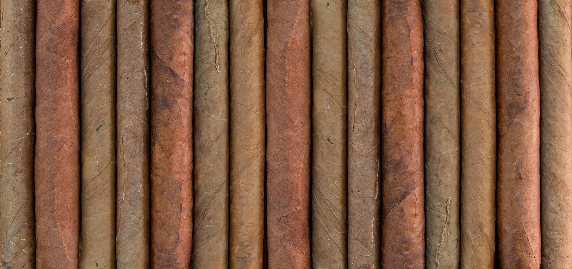 Guia Completo: Entenda os Tipos de Capas de Charuto e Suas Características